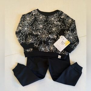 Burt’s Bees Baby Spider Web Shirt and Pants Set- Size 18 months- NWT- Halloween